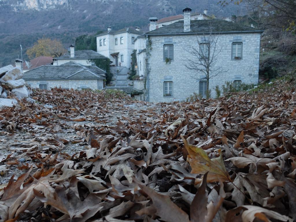 Artsistas Houses Hotel Aristi Exterior photo